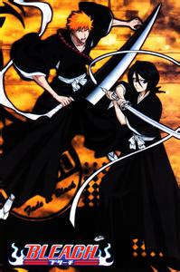 ����ڶ���