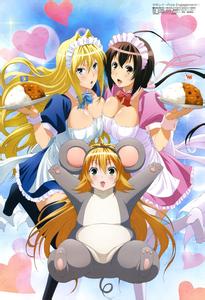 ����Ů�������