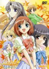 ��ɫ�ĵ�ɫ��