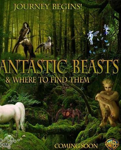 ���������⴫