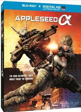 ƻ����ս�ǰ�����