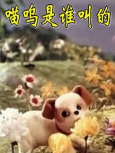 ������˭�е�