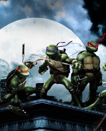 ���߹�ڶ���