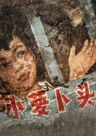 С�ܲ�ͷ�Ĺ���