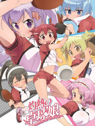 ���ȵ�ƹ������