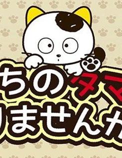 è�������