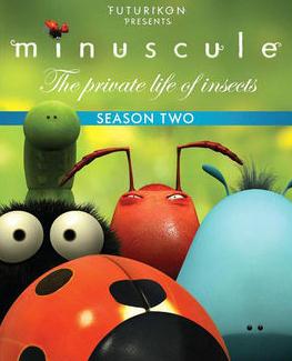 ����С����