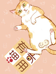 �������õڶ���