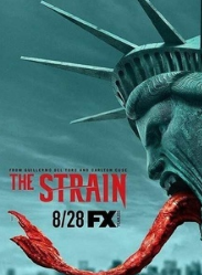 ����/Ѫ�������