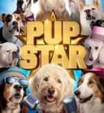 ��Ȯ������