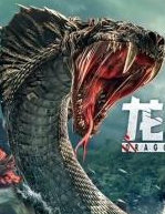 ��̶����