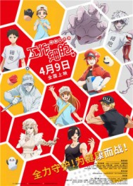 ����ϸ����ϸ������ս