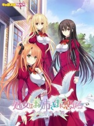 ��Ů���Ͻ�� ������3����