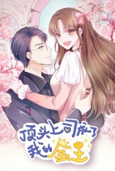 ��ͷ��˾�����ҵĽ���