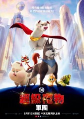 DC�ȳ���ǲ��