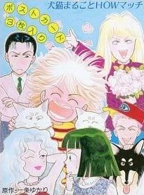 ���о��ֲ� ��è����HOW�鼪